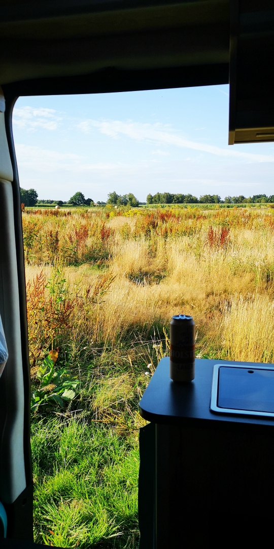 Ausblick