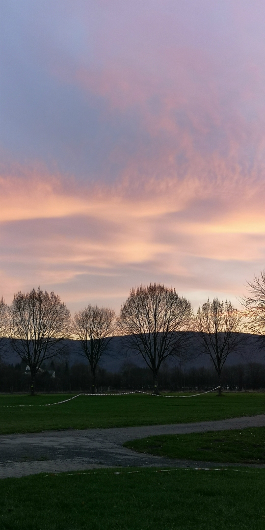 Ausblick aus den Hecktüren