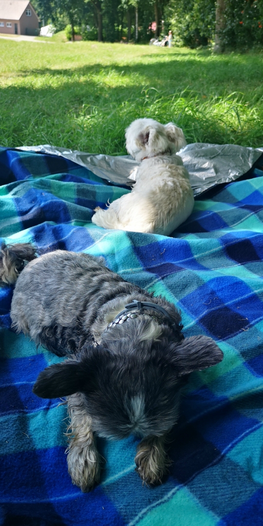 Toilettenhaus im Hintergrund